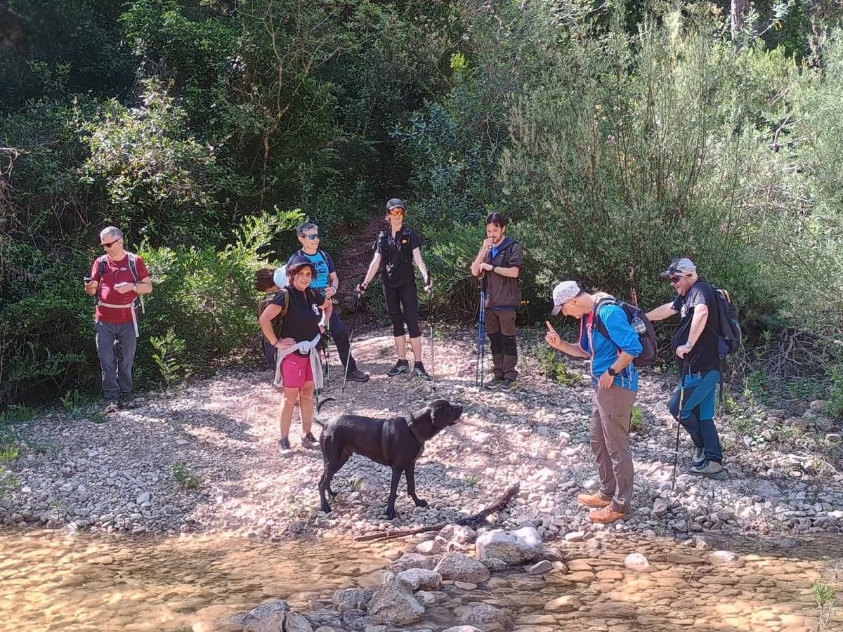 Gorgs de la&nbsp;Febró